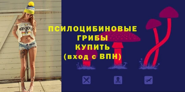 стаф Алексеевка