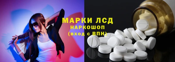 apvp Алексин