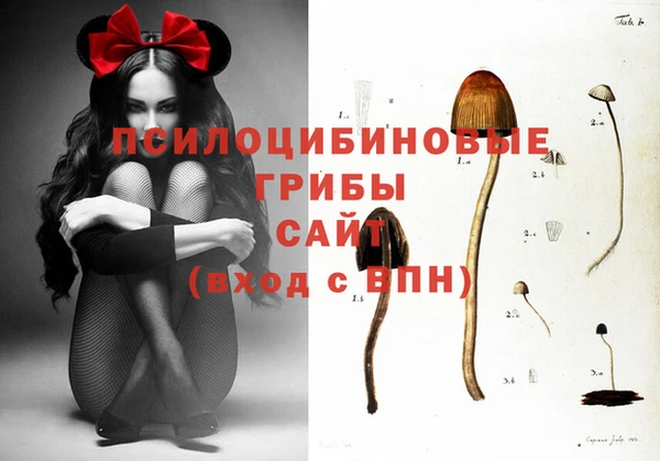 apvp Алексин
